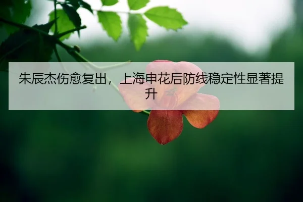 zhu-chen-jie-shang-yu-fu-chu-shang-hai-shen-hua-hou-fang-xian-wen-ding-xing-xian-zhu-ti-sheng-2-979.jpg