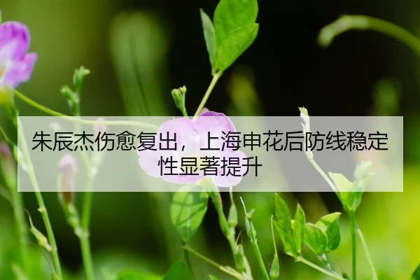 zhu-chen-jie-shang-yu-fu-chu-shang-hai-shen-hua-hou-fang-xian-wen-ding-xing-xian-zhu-ti-sheng-3-790.jpg