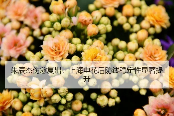 朱辰杰伤愈复出，上海申花后防线稳定性显著提升